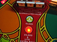 Image # 39711: Cheetah Playfield - Detail