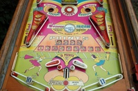 Image # 59944: College Daze Lower Playfield 
(The left flipper should be white. Serial number 013073CD.)