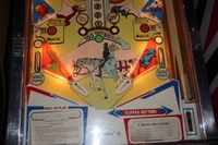 Image # 64555: Robin Hood Illuminated Lower Playfield