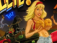 Image # 64777: Whoa Nellie! Big Juicy Melons� Tilt Light 
(Serial number 4030-3. Photographed at Chicago Expo 2012.)