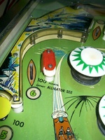 Image # 26679: Alligator Playfield - Detail 
(Alligator See (Lake). Serial number 1109.)