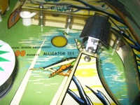 Image # 26681: Alligator Playfield - Detail 
(Alligator See (Lake). Serial number 1109.)