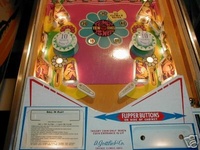 Image # 21477: Crescendo Lower Playfield