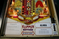 Image # 39688: Aloha Illuminated Lower Playfield 
(The manufacturer did not design the playfield with a post between the flippers. The post shown here was added later.)