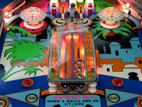 Image # 44722: Darling Illuminated Playfield - Detail 
(Serial number 174552.)