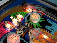 Image # 44721: Darling Illuminated Playfield - Detail 
(Serial number 174552.)