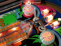 Image # 44720: Darling Illuminated Playfield - Detail 
(Serial number 174552.)