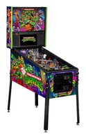 Image # 77532: Teenage Mutant Ninja Turtles (Pro) Promotional Photo 
(The spinning target in this image shows the character Rocksteady. The character Foot Clan appears on this spinner for production games.)