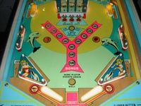 Image # 18690: Dolphin Lower Playfield