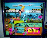 Image # 22618: Dolphin Backglass