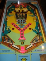 Image # 30089: Dolphin Playfield