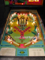 Image # 18688: Dolphin Illuminated Playfield