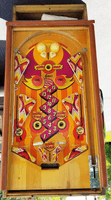 Image # 76244: Double Action Playfield 
(The side rails have been re-stained.)