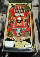 Image # 11995: El Toro Playfield 
(The post between the flippers is not original to this game.)