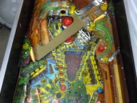 Image # 49187: Escape from the Lost World Middle Playfield 
(The playfield glass had been removed in this image.)