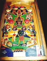 Image # 778: Fairway Playfield