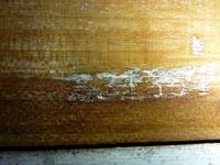 Image # 54540: Flipper Serial Number 
(Serial number G31384 is located just above the coin door in the center. The white paint has been removed from the cabinet in this image.)