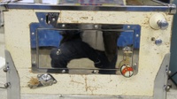 Image # 59447: Flipper Fair Sample Game - Cabinet - Front 
(The metal parts are polished originals. Serial number 55042 S.)
