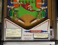 Image # 76943: Flying Carpet Lower Playfield