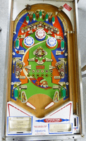 Image # 79884: Flying Carpet Sample Game - Playfield 
(Serial number 01025 S.)