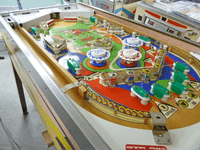 Image # 79885: Flying Carpet Sample Game - Playfield - Downfield View 
(Serial number 01025 S.)