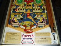 Image # 25481: Flying Circus Lower Playfield 
(The slingshot plastics are reproductions.)