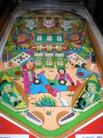Image # 12754: Full House Playfield 
(From the Rich Huth Collection)