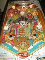 Image # 22699: Gaucho Illuminated Playfield
