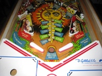 Image # 50267: Gemini Lower Playfield 
(Serial number 4249.)