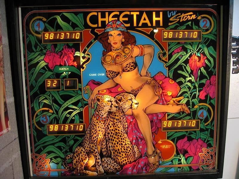Cheetah