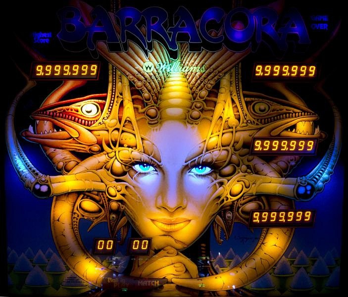 Barracora